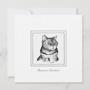 American Shorthair Black and White Cat Card