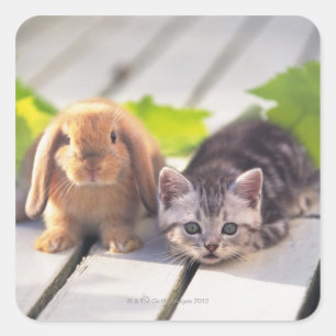 American Shorthair & Bunny Square Sticker