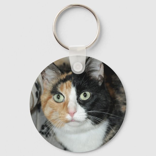 American Shorthair Calico Shelter Cat Keychain (Front)