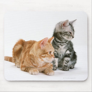 American Shorthair Cat 2 Mouse Mat