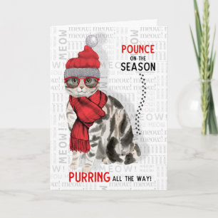 American Shorthair Cat Breed Funny Christmas Card