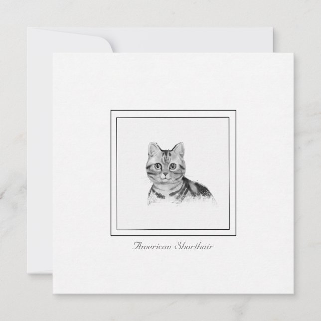 American Shorthair Cat Drawing Flat Note Card (Front)