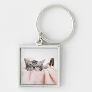 American Shorthair Cat Key Ring