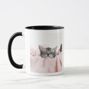 American Shorthair Cat Mug