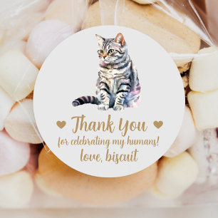 American Shorthair Cat Wedding Favour Stickers