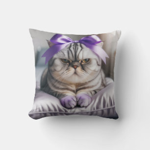 American Shorthair Cat with a Bow Cushion