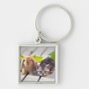 American Shorthair; is the most popular and most Key Ring