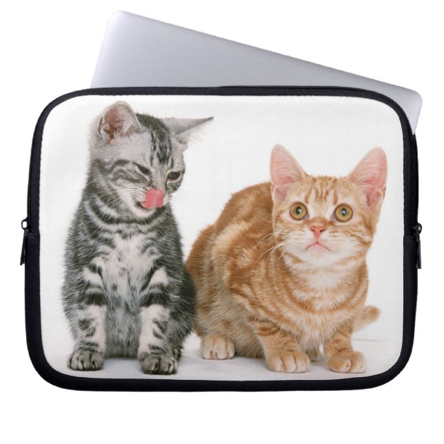 American Shorthair Laptop Sleeve (Front)