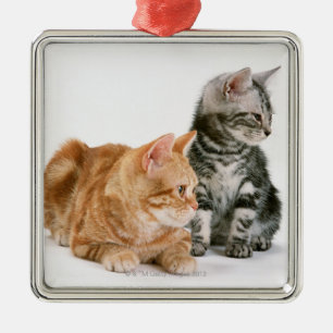 American Shorthair Metal Tree Decoration