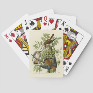 American Sparrow Hawk - Audubon's Birds of America Playing Cards