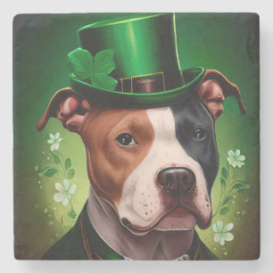 American Staffordshire dog in St. Patrick's Day Stone Coaster