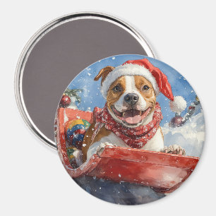 American Staffordshire in Sledge Christmas Magnet