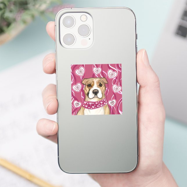 AMERICAN STAFFORDSHIRE TERRIER            (Phone)