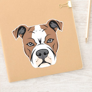 American Staffordshire Terrier Amstaff Dog Face
