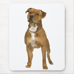 American Staffordshire Terrier ( Amstaff) Mousepad