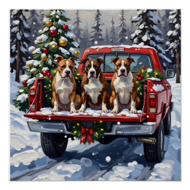American Staffordshire Terrier Christmas Red Truck Poster (Front)