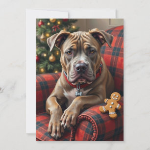 American Staffordshire Terrier Cozy Christmas Holiday Card