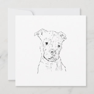 American Staffordshire Terrier Illustration Card