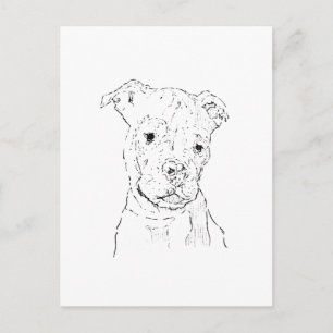 American Staffordshire Terrier Illustration Postcard