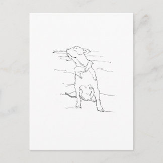American Staffordshire Terrier Illustration Postcard
