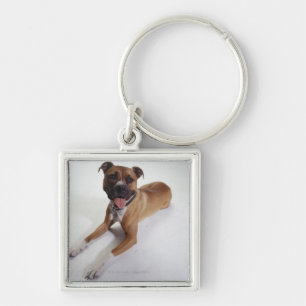 American Staffordshire Terrier lying down, Key Ring