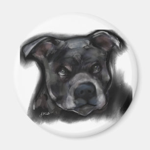 American Staffordshire Terrier Magnet