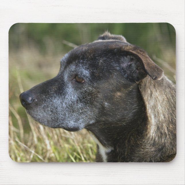 American Staffordshire Terrier Mouse Pad (Front)