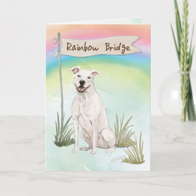 American Staffordshire Terrier Pet Sympathy Card (Front)