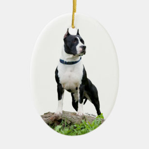American Staffordshire Terrier (Pit Bull) Ornament