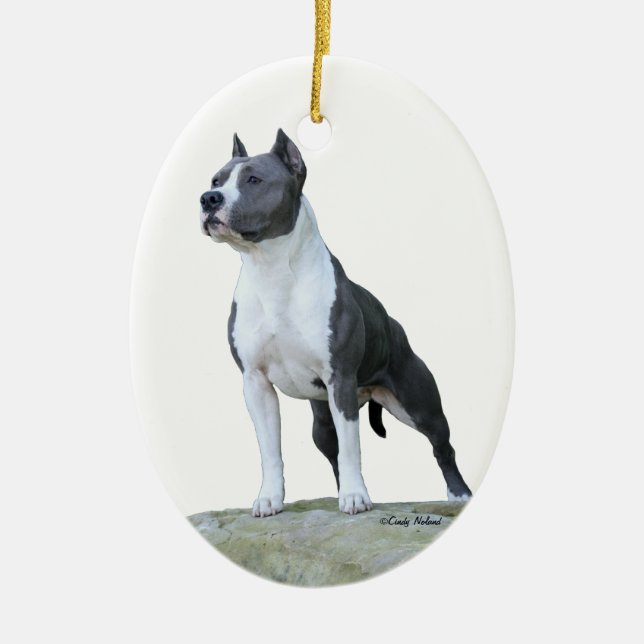 American Staffordshire Terrier (Pit Bull) Ornament (Front)
