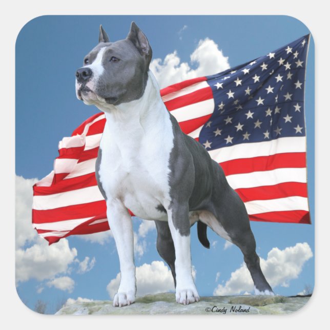 American Staffordshire Terrier (Pit Bull) stickers (Front)