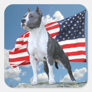 American Staffordshire Terrier (Pit Bull) stickers