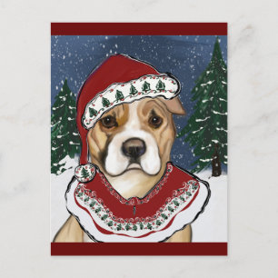 AMERICAN STAFFORDSHIRE TERRIER POSTCARD