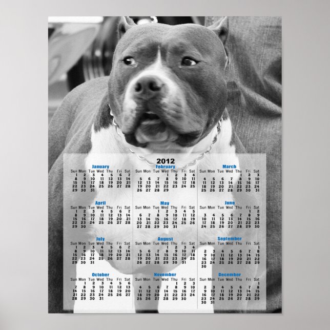 American Staffordshire terrier Poster (Front)