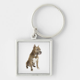 American Staffordshire Terrier  Puppy Dog Keychain