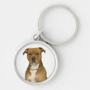 American Staffordshire Terrier Puppy Dog Keychain