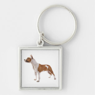 American Staffordshire Terrier  Puppy Dog Keychain