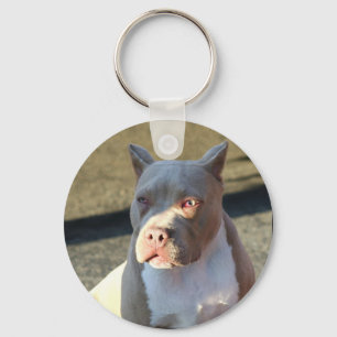 American Staffordshire Terrier puppy keychain