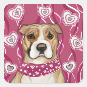 AMERICAN STAFFORDSHIRE TERRIER SQUARE STICKER