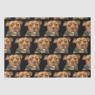AMERICAN STAFFORDSHIRE TERRIER   TISSUE PAPER