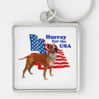 American Staffordshire Terrier USA