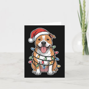 American Staffordshire Terrier Wrapped In Christma Card