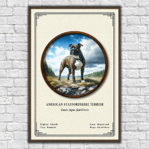American Staffordshire Terrier Zoology Series Poster