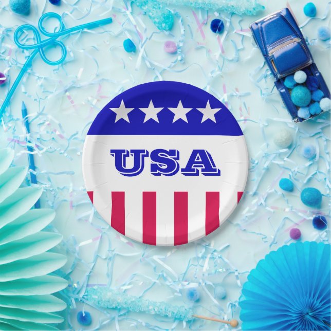American Style Paper Plate (Party)