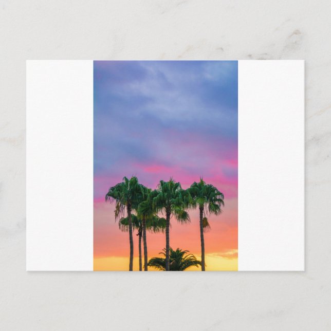 American Sunset (43) Postcard (Front)