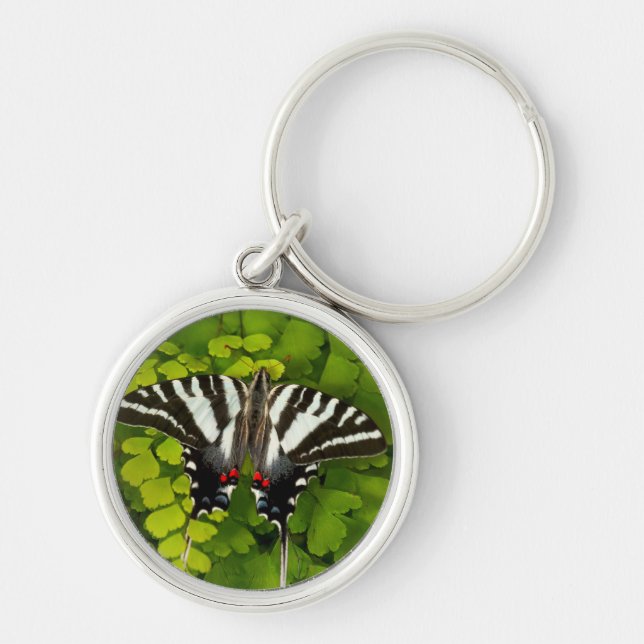 American Swallowtail Butterfly Key Ring (Front)