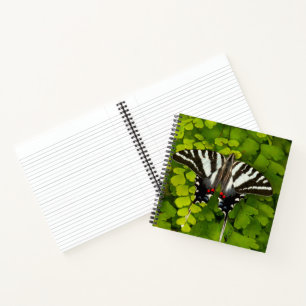 American Swallowtail Butterfly Notebook