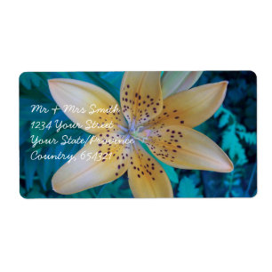 American Tiger Lily