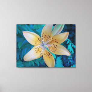 American Tiger Lily Canvas Print