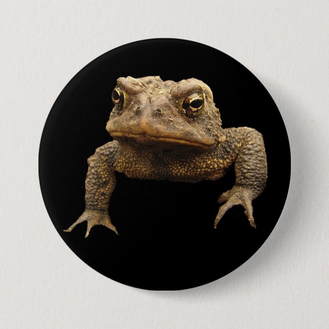 American Toad 7.5 Cm Round Badge (Front)